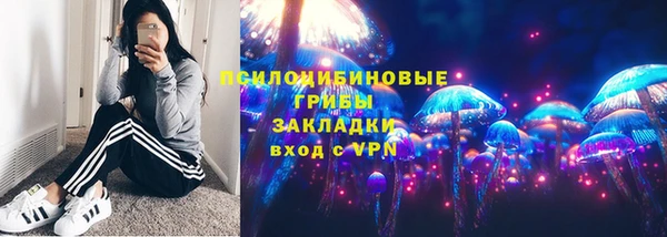 мяу мяу мука Арсеньев