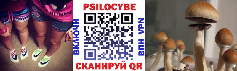 Псилоцибиновые грибы MAGIC MUSHROOMS Серов